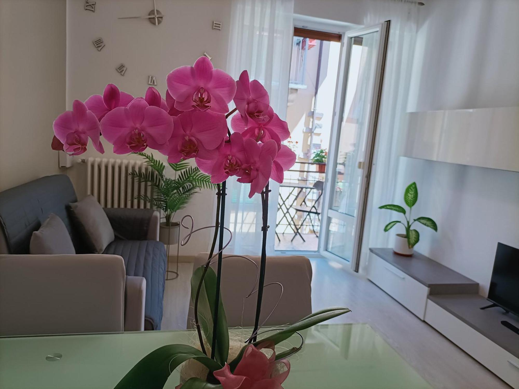 Apartment Jessy Baveno Ngoại thất bức ảnh